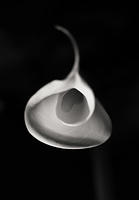 calla-4