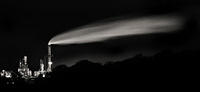 feather