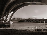 the bridges of berwick
