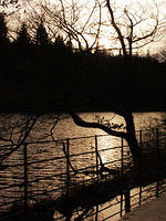 Loch Ard, near Aberfoyl