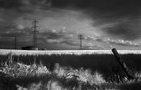 unfenced700