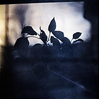 windowsill