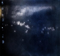 zp-snowdrops2