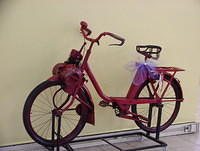 Pedal bike with small petrol engine.