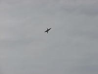 pa240021