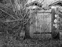p3080267ed