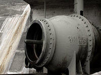 p4090534ed