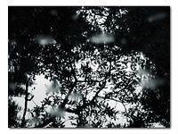 p6061532-copy