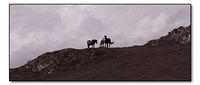 p8070249-copy