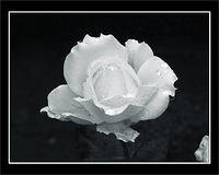 p9300679-copy