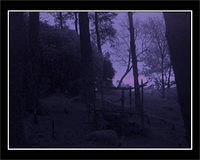 pa220757-copy