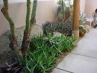 Patio2